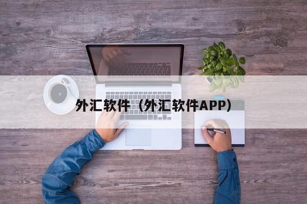 外汇软件（外汇软件APP）