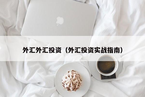外汇外汇投资（外汇投资实战指南）