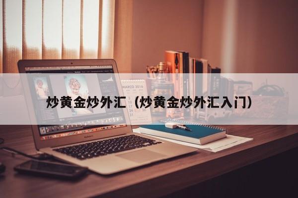 炒黄金炒外汇（炒黄金炒外汇入门）