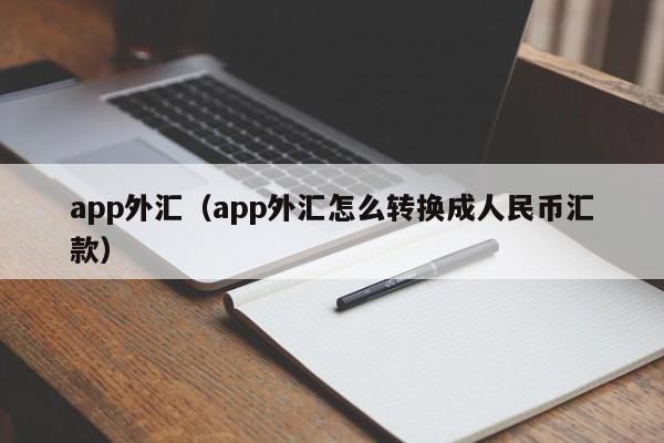 app外汇（app外汇怎么转换成人民币汇款）