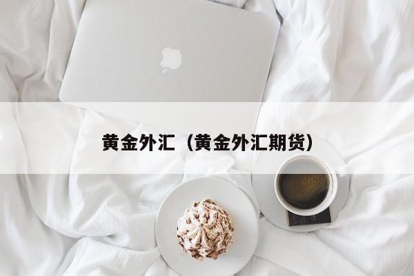 黄金外汇（黄金外汇期货）