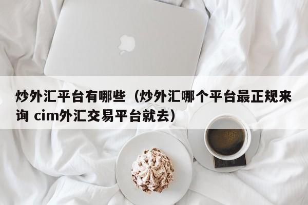 炒外汇平台有哪些（炒外汇哪个平台最正规来询 cim外汇交易平台就去）