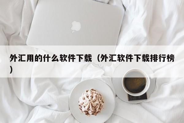 外汇用的什么软件下载（外汇软件下载排行榜）