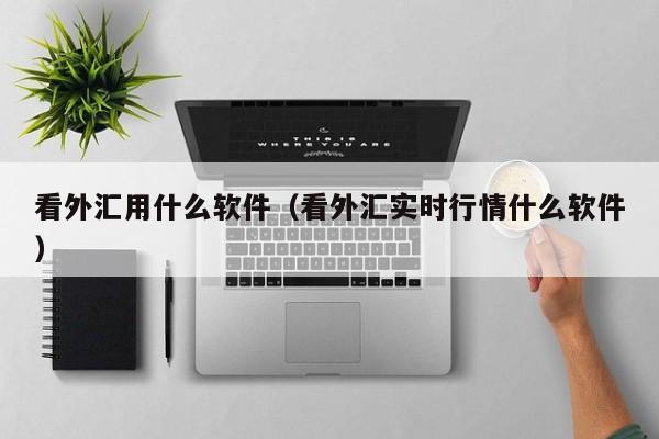 看外汇用什么软件（看外汇实时行情什么软件）