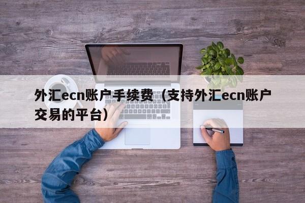 外汇ecn账户手续费（支持外汇ecn账户交易的平台）