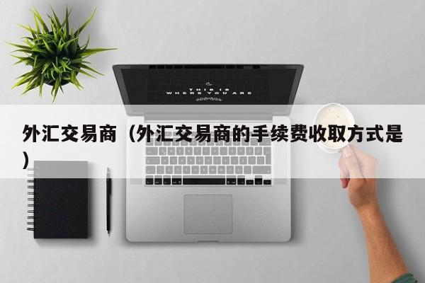 外汇交易商（外汇交易商的手续费收取方式是）