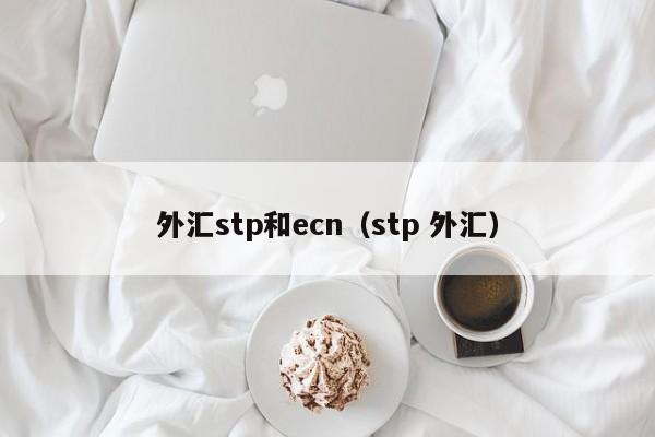 外汇stp和ecn（stp 外汇）