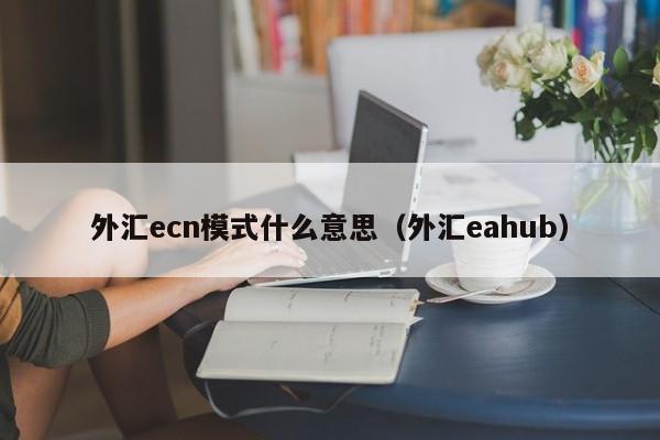 外汇ecn模式什么意思（外汇eahub）
