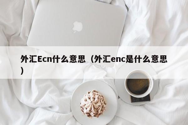 外汇Ecn什么意思（外汇enc是什么意思）