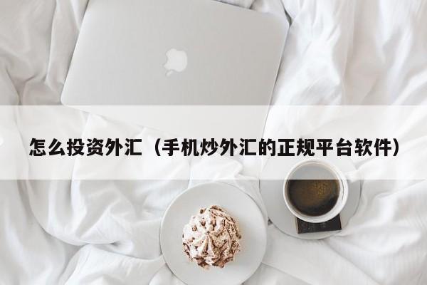 怎么投资外汇（手机炒外汇的正规平台软件）