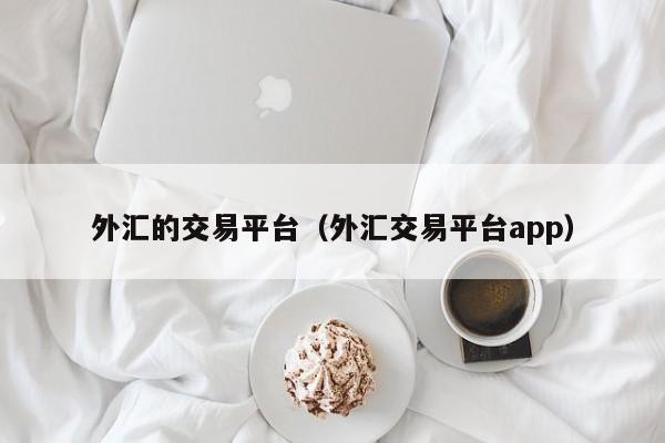 外汇的交易平台（外汇交易平台app）