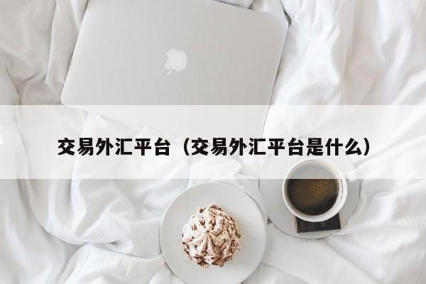 交易外汇平台（交易外汇平台是什么）