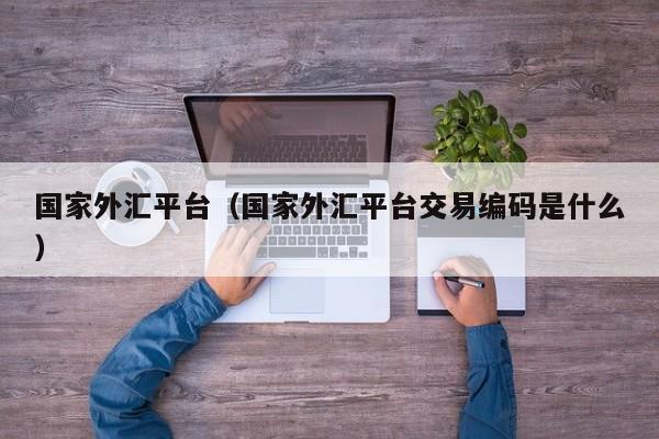 国家外汇平台（国家外汇平台交易编码是什么）