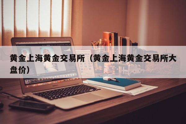黄金上海黄金交易所（黄金上海黄金交易所大盘价）
