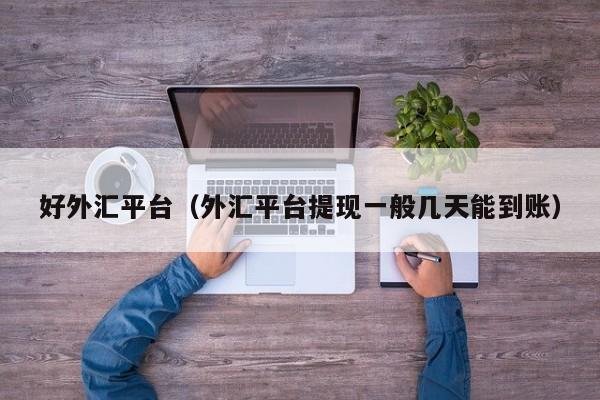 好外汇平台（外汇平台提现一般几天能到账）