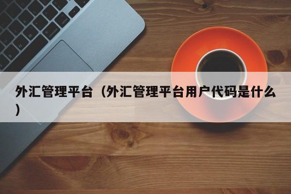 外汇管理平台（外汇管理平台用户代码是什么）