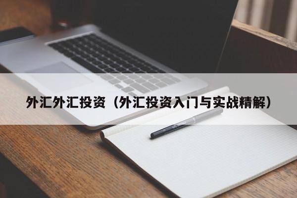 外汇外汇投资（外汇投资入门与实战精解）