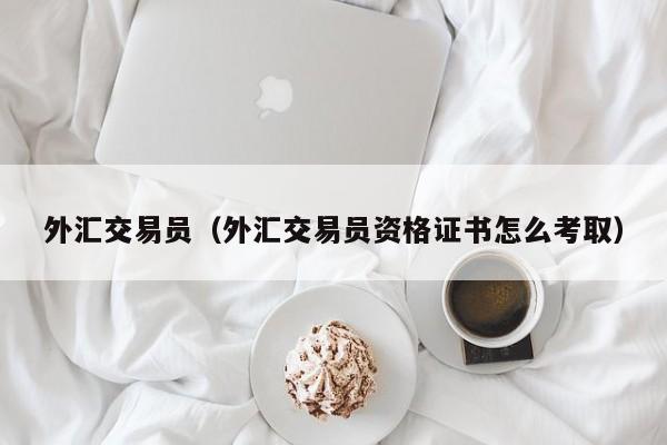 外汇交易员（外汇交易员资格证书怎么考取）