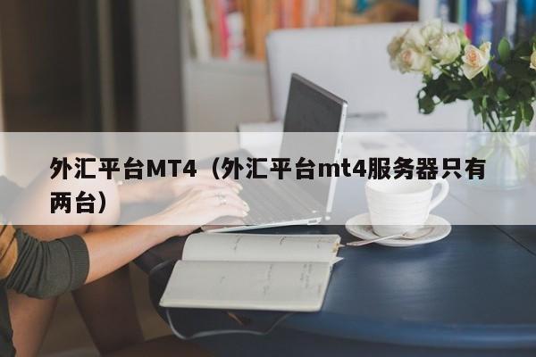 外汇平台MT4（外汇平台mt4服务器只有两台）