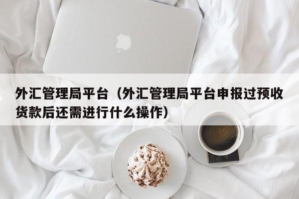 外汇管理局平台（外汇管理局平台申报过预收货款后还需进行什么操作）