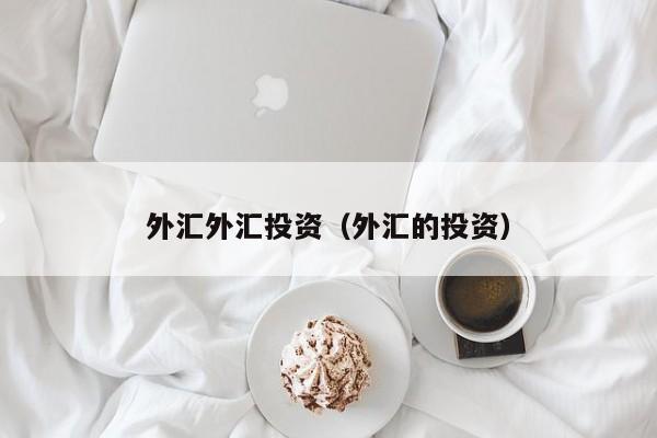 外汇外汇投资（外汇的投资）