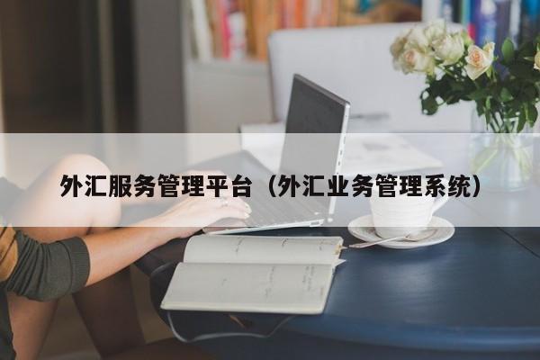 外汇服务管理平台（外汇业务管理系统）