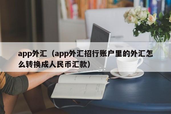 app外汇（app外汇招行账户里的外汇怎么转换成人民币汇款）