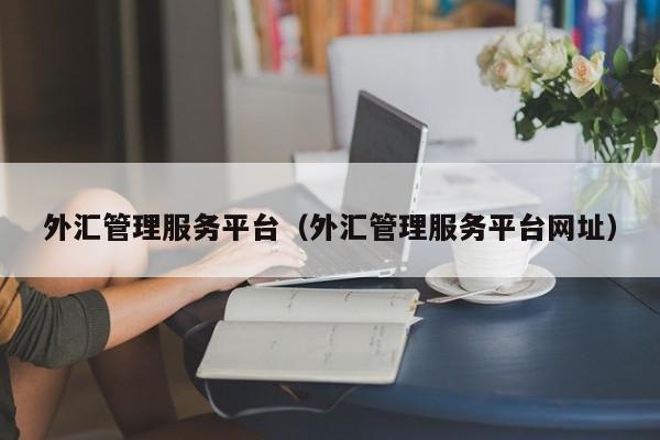 外汇管理服务平台（外汇管理服务平台网址）