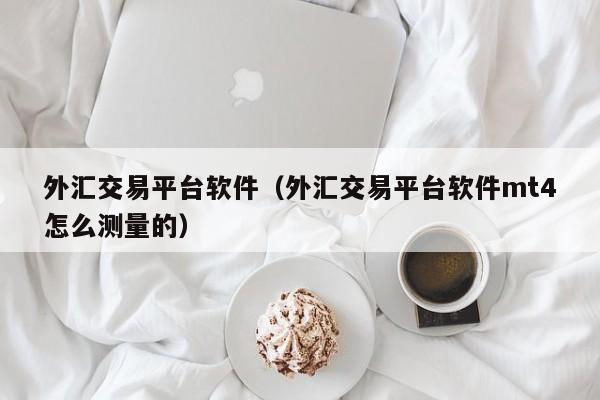 外汇交易平台软件（外汇交易平台软件mt4怎么测量的）