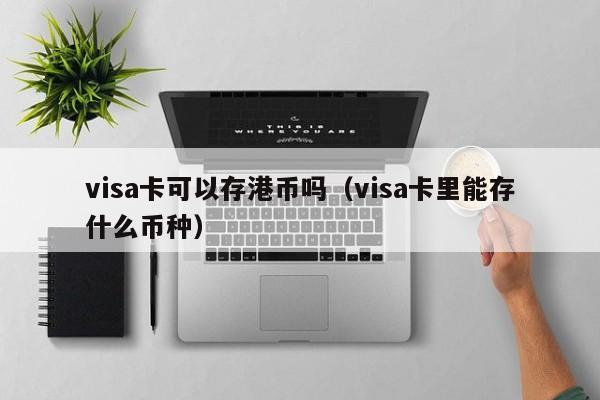 visa卡可以存港币吗（visa卡里能存什么币种）