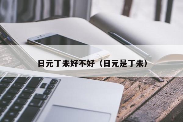 日元丁未好不好（日元是丁未）