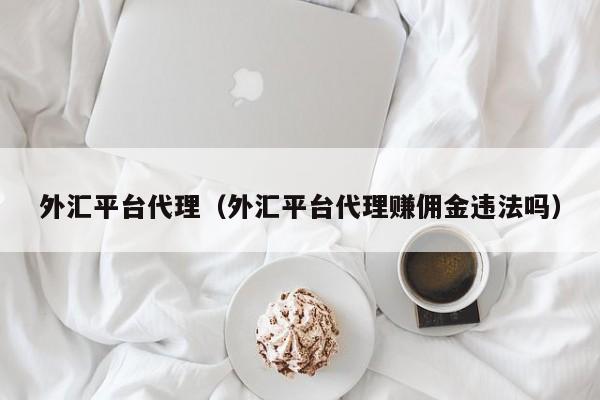 外汇平台代理（外汇平台代理赚佣金违法吗）