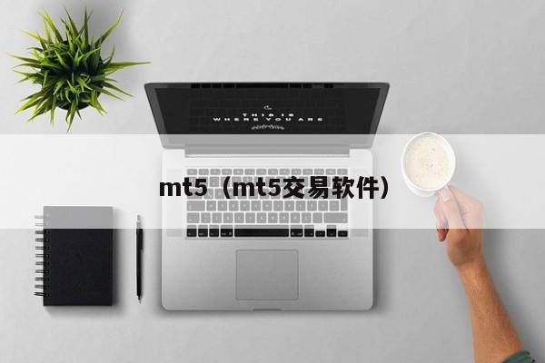 mt5（mt5交易软件）