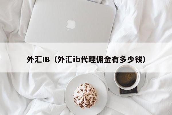 外汇IB（外汇ib代理佣金有多少钱）