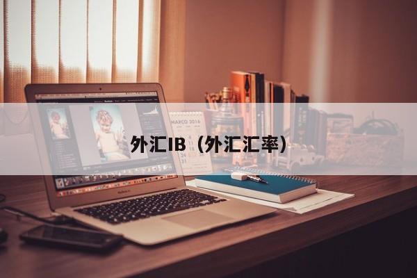 外汇IB（外汇汇率）